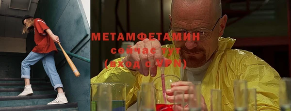 крисы Мегион