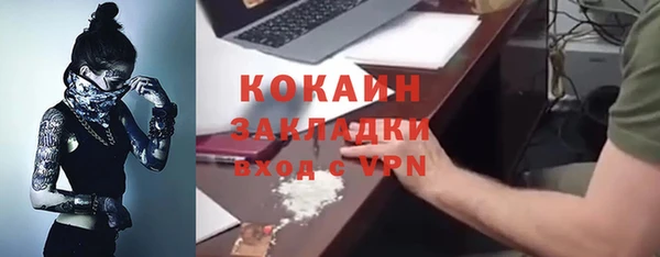 крисы Мегион